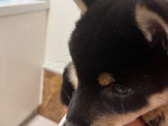 -美联众合24小时·皮肤科·外科·全科诊疗中心(华苑分院)