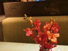 -杭州君悦酒店·湖滨28中餐厅