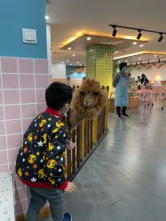-Moni星球萌宠·小马宝莉·灵蛇·高端高阶全萌宠互动体验俱乐部(红豆国际广场店)