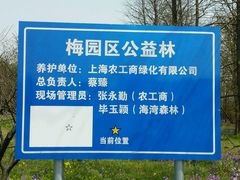 -上海海湾国家森林公园