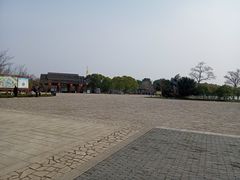-苏州太湖国家湿地公园