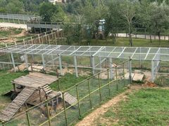 -青藏高原野生动物园