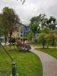 -成都市妇女儿童中心医院(中心院区)