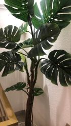 -菲·木田moontin造型salon
