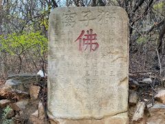 -北京西山国家森林公园