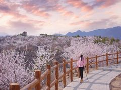 -白水寺森林公园