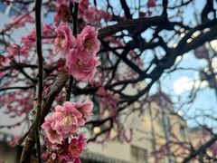 -合羽桥道具街(Kappabashi)