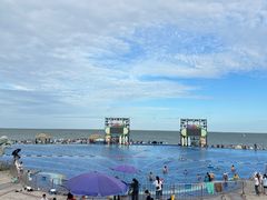 -碧海金沙