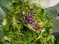 凉拌苦菊-扬浦大酒楼(平顶山路店)