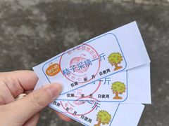 -前小桔亲子创意农场·草莓采摘·露营烧烤