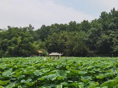 -兰亭风景区