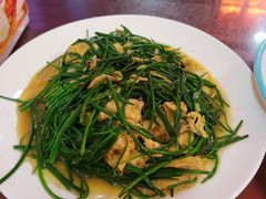 -范记靖远羊羔肉(博物馆店)
