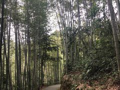 -千泷沟大瀑布旅游区