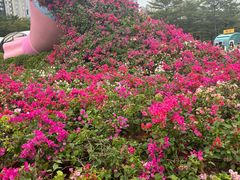 -海心沙亚运公园