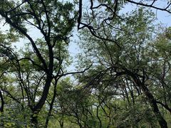 -阳台山自然风景区