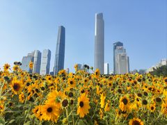 -海心沙亚运公园