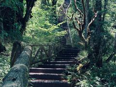 -龙苍沟森林公园
