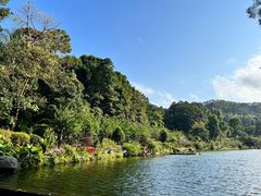 -深圳仙湖植物园