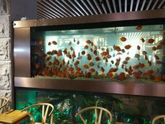 -御池园(顾村公园店)