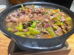 -小金鬼·煎饺·鸽子汤