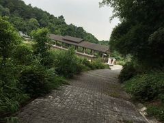 -铁山坪森林公园