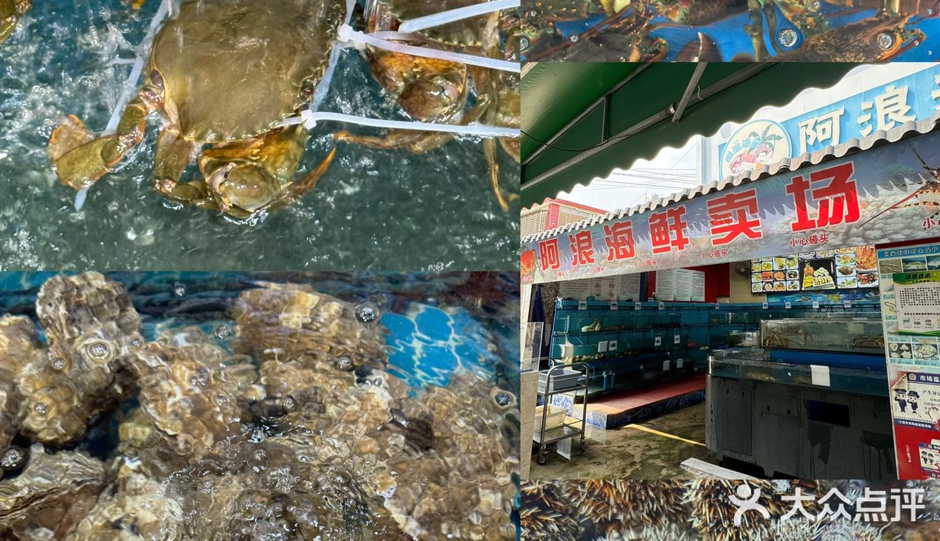 这家海鲜真的吃不腻！我从海口吃到三亚🤩