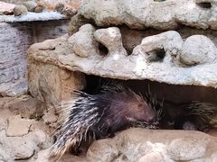 -海南热带野生动植物园