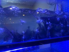 -云中鱼蒸汽石锅鱼(川沙百联店)