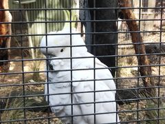 -费瑟代尔野生动物园