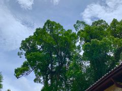 -井冈山风景名胜区