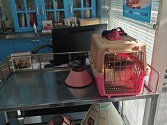 -天津前进宠物医院(前进道店)