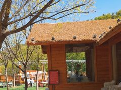 -九如山休闲旅游度假区