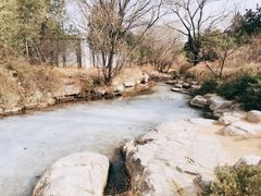 -国家植物园