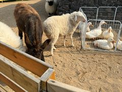 -HERRE·FARM 赫尔露营农场·团建聚会包场