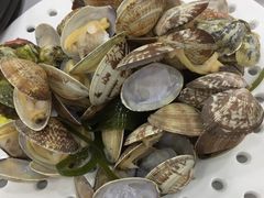 -必点蒸汽海鲜(止锚湾店)