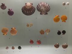 -青岛贝壳博物馆