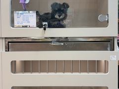 -唐小姐の私宠·宠物洗护美容·撸猫馆·购宠(周浦万达旗舰店)