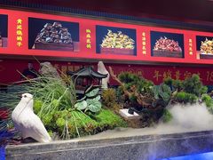 -鸽子侯·家宴·平价海鲜(绿地店)