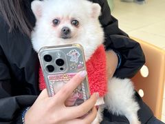 -怪兽屋·羊驼·猫咖·狗咖(俊华广场店)