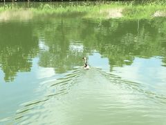 鱼塘-邹记·美食(斗门店)