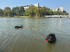 -江南大学(蠡湖校区)