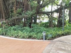 -台山颐和温泉城