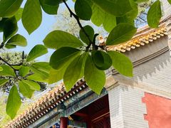 -潭柘寺景区