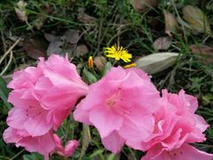 -白鹭湾湿地公园