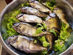 -丰尔粥食·粥底火锅·桑拿鸡(大良总店)