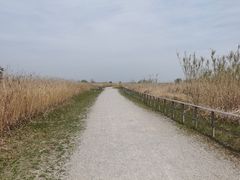 -宁波杭州湾国家湿地公园