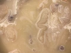 -金悦轩海鲜城(渔人码头店)