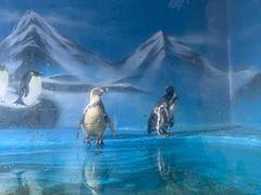 -锦艺城海洋馆