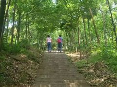 android_upload_pic-广州市帽峰山景区