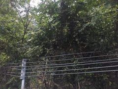 -妙峰山风景名胜区